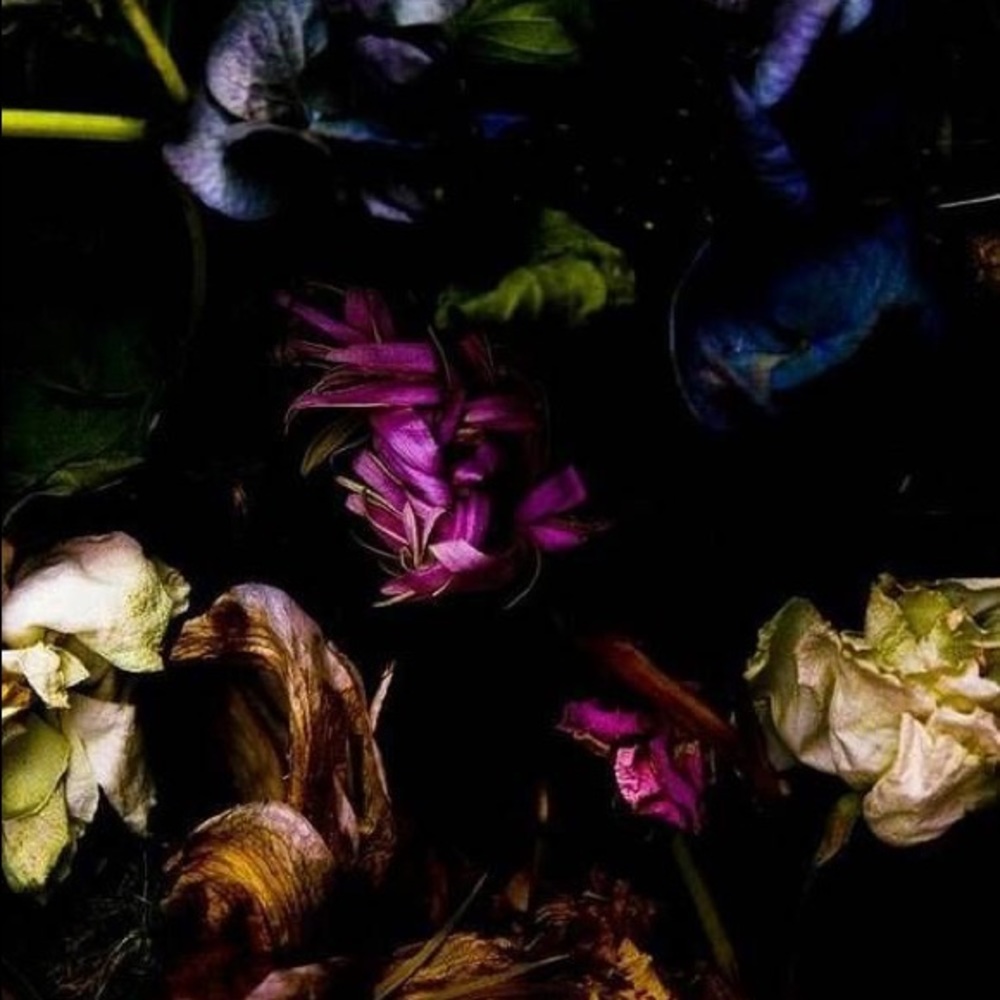 Meet your Posher, Sabreea